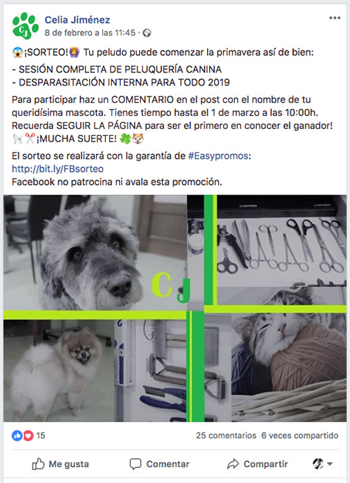 ejemplo de sorteo de Celia mascotas