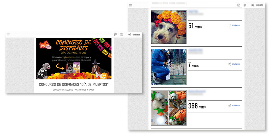 ejemplo concurso disfraces dia muertos
