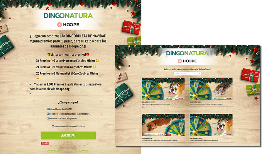 Concurso de mascotas online de Dingonatura