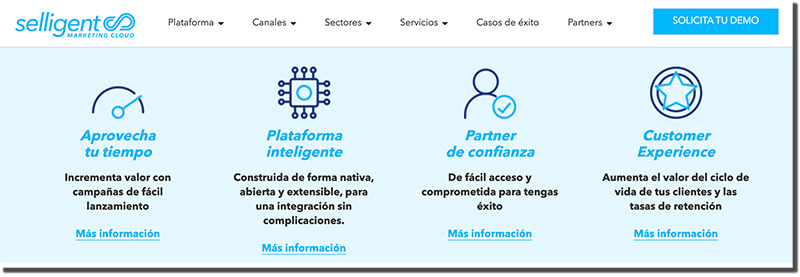 qué es Selligent