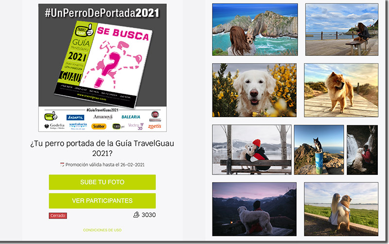 ejemplo de concurso de fotos de perros