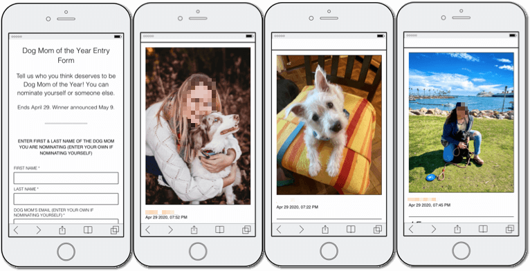 Pet contest ideas DOGTV