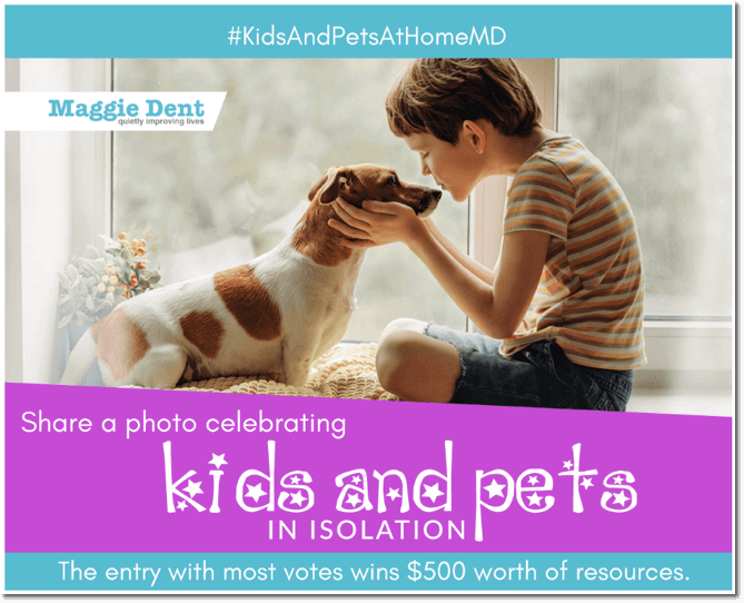 pet contest ideas Maggie Dent