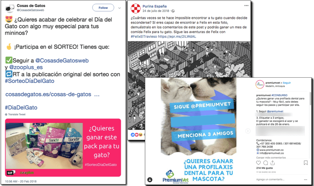 sorteo facebook instagram dia del gato